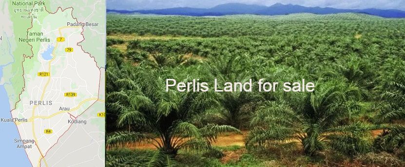 Perlis land for sale