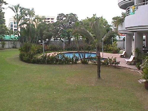 Swimming pool and garden