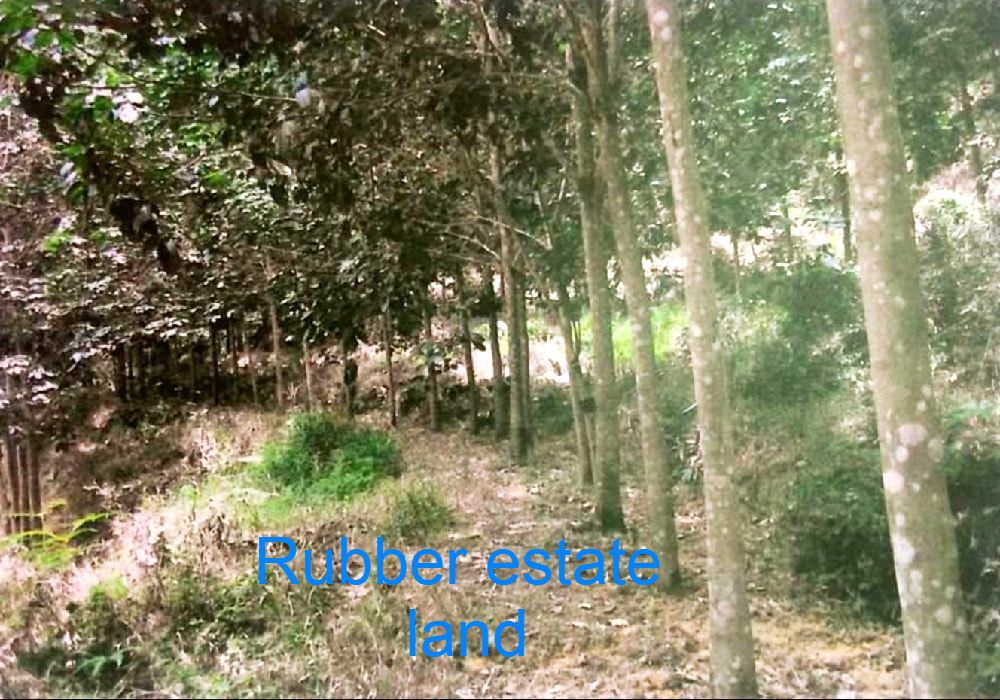 Rubber land for sale