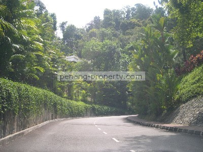 Entrance road to Diamond Villa