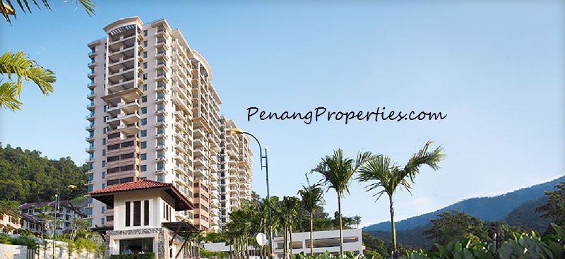 alila horizons