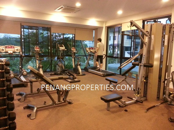 Indoor gymnasium