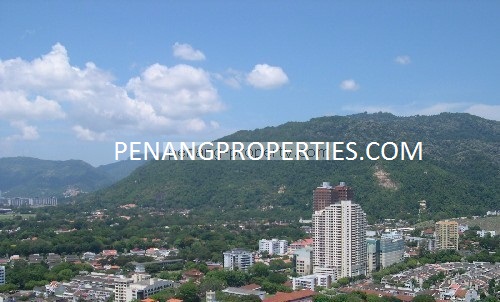 Overall view of Pulau Tilkus