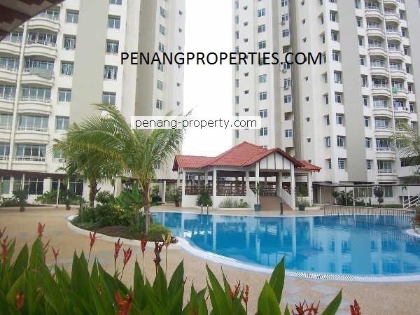 Swimming pool and landscaped garden