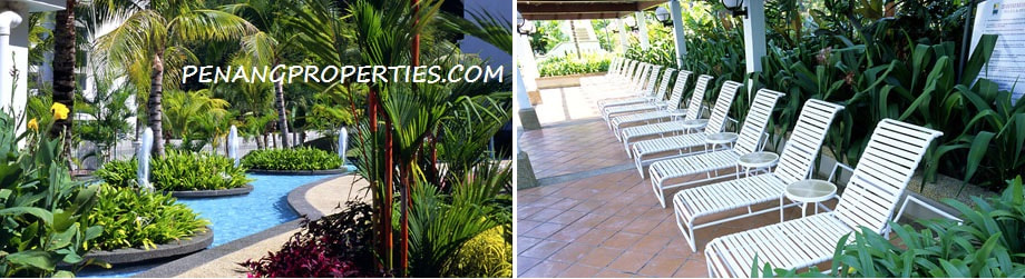 Poolside garden chairs