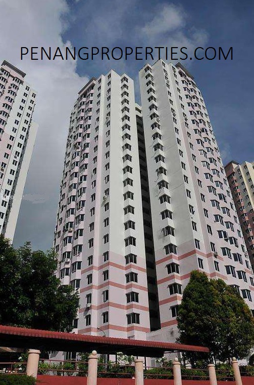 Jay Series for sale and rent
