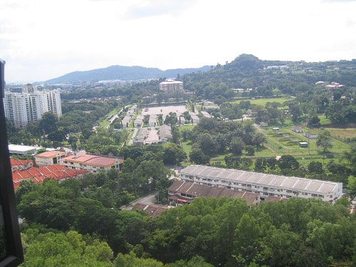 Greenery views