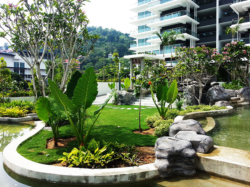 Landscaped garden