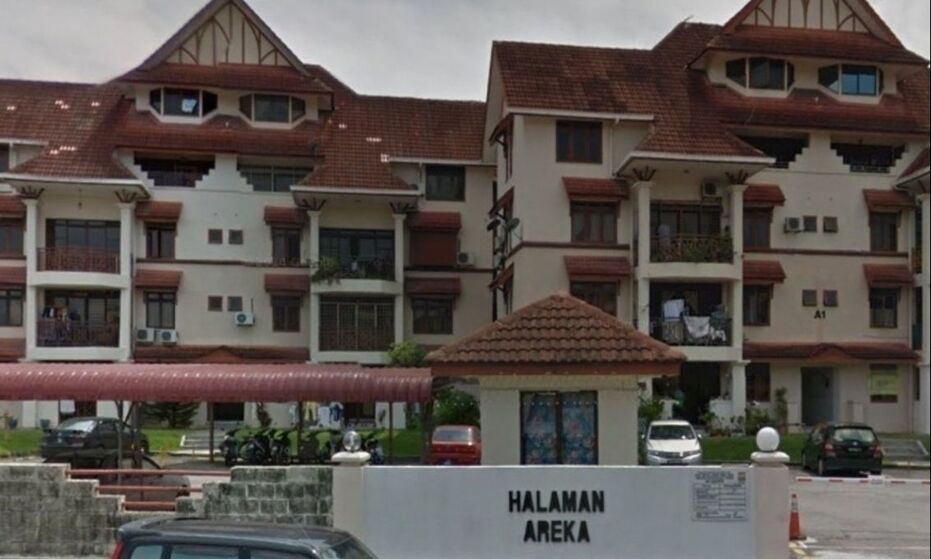 Halaman Areka