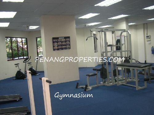 Gymnasium