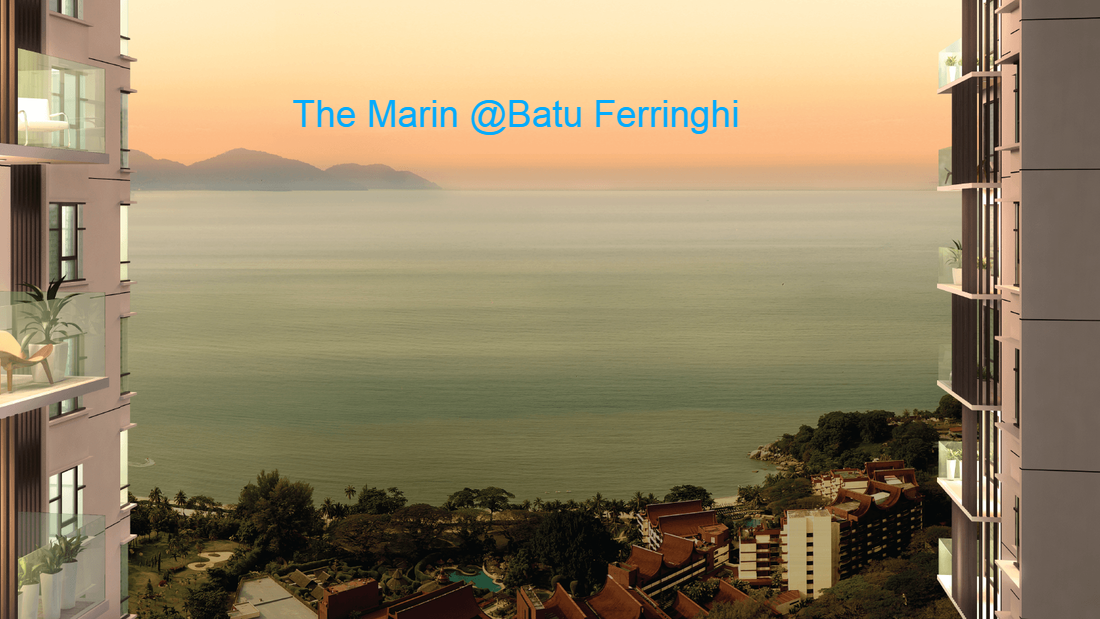 The Marin Condominium