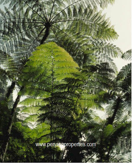 Green environment