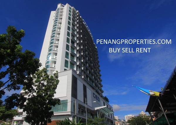 The CEO