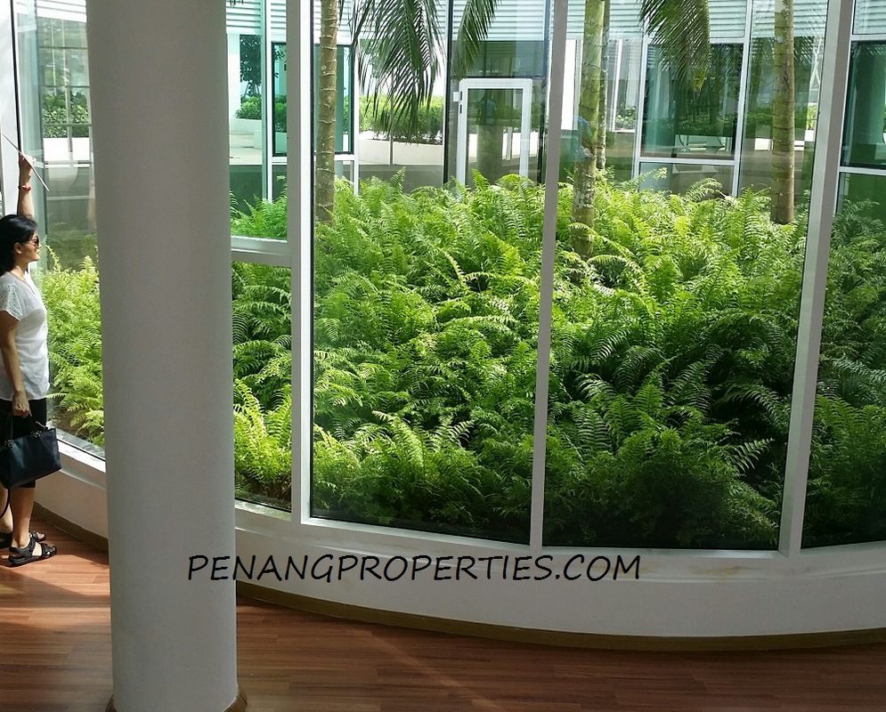 Green house garden