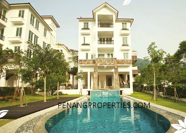 Dream home with swimming pool
