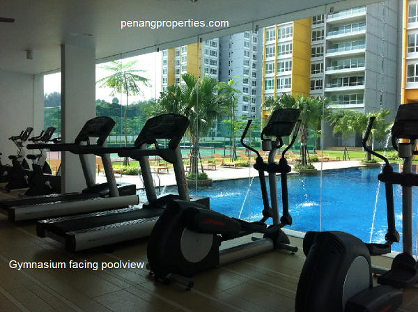 Indoor Gymnasium