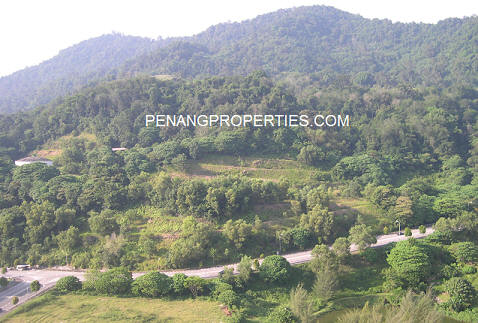 View of the hills