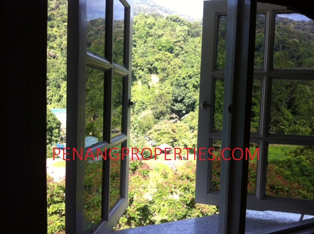 Lush greenery views from window