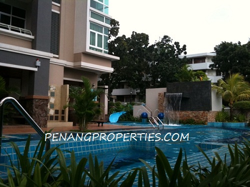 Swimming pool area
