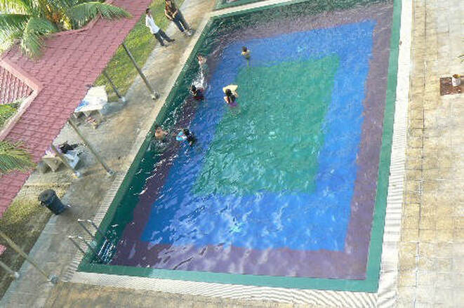 Swimming pool and garden