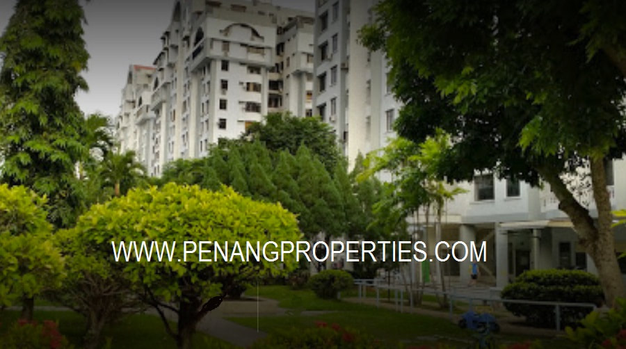 The apartments landscaped courtyard