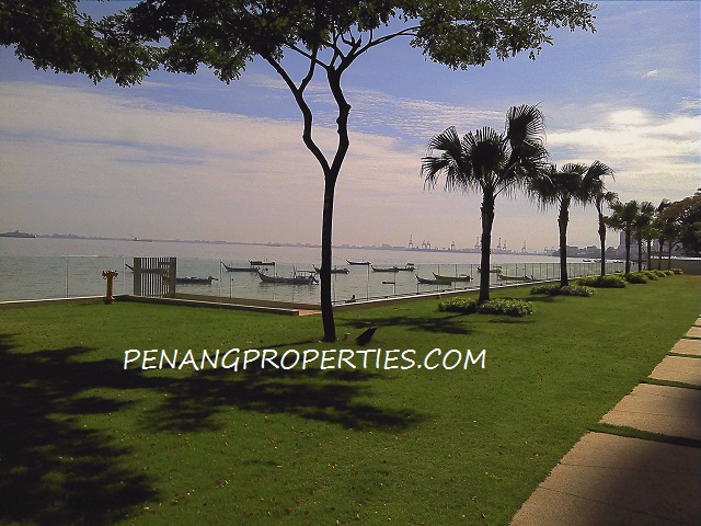 Grass garden fronting the shores