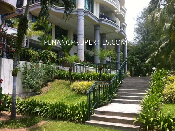 A garden fronting the beach