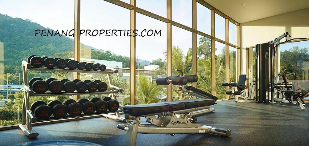 Indoor gymnasium