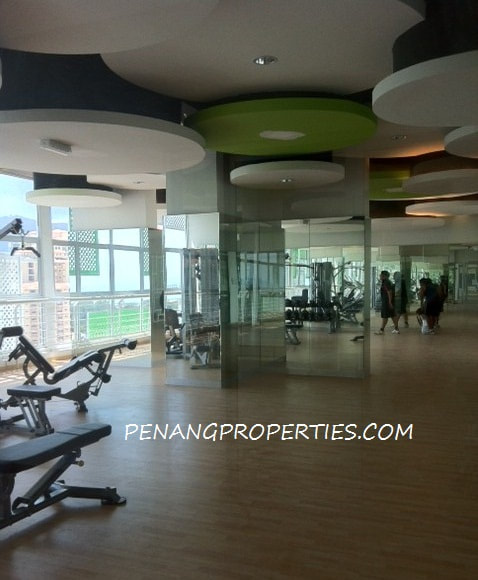 Gymnasium
