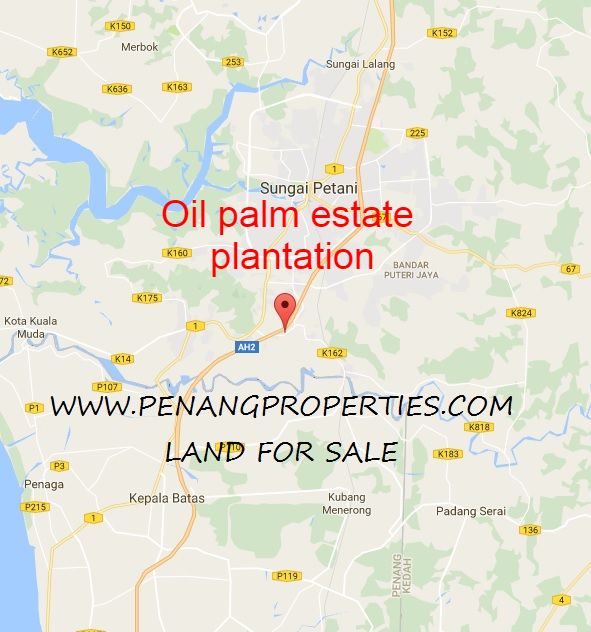 oil palm land location map