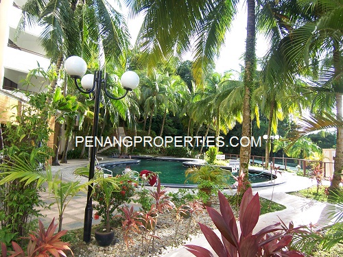 Resort pool and landscaping