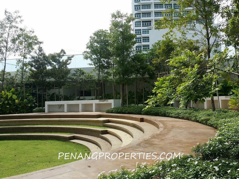 Large open garden area