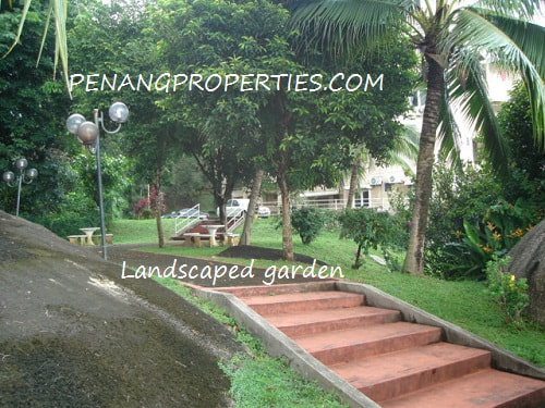 Landscaped garden