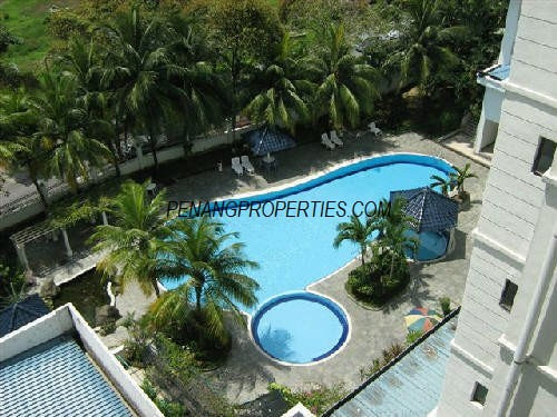 Swimming pool with lush landscaping