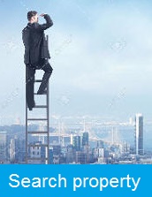Search for property