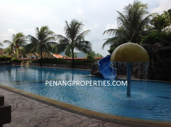Swimming pool area lined with coconut trees