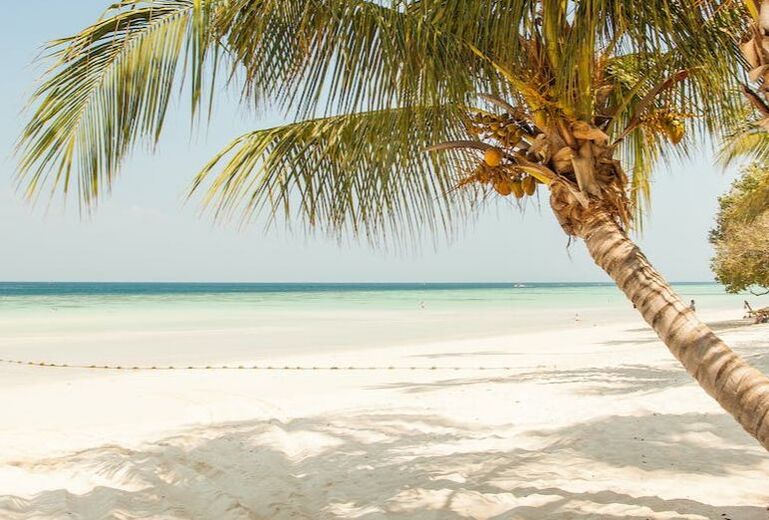 Beach at Tanjung Bungah