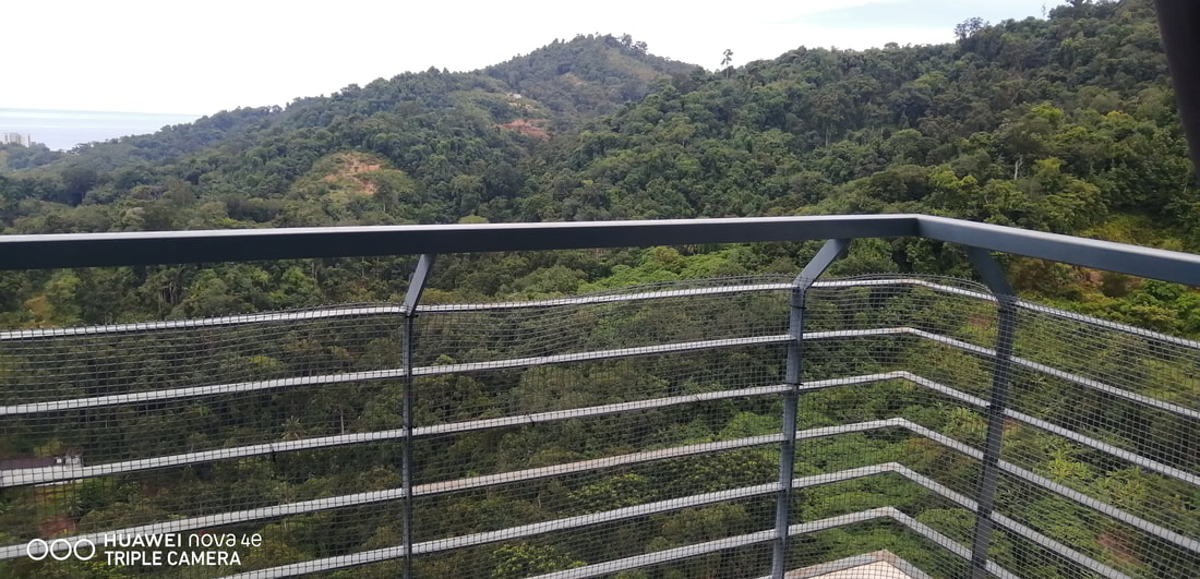 Nice greenery views