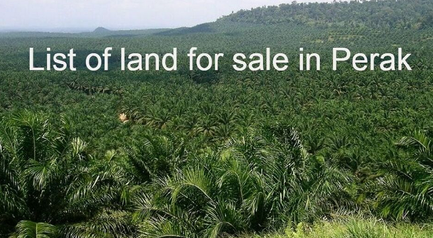 Plantation land