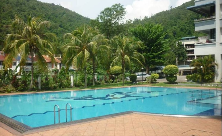 Flamingo facilities area